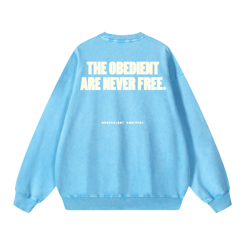 Snow Washed Oversized Sweatshirt