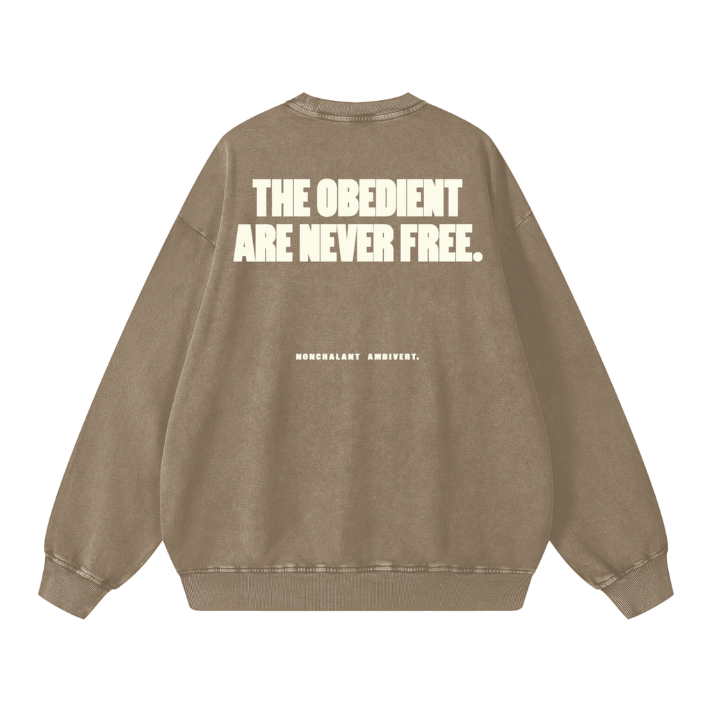 Snow Washed Oversized Sweatshirt