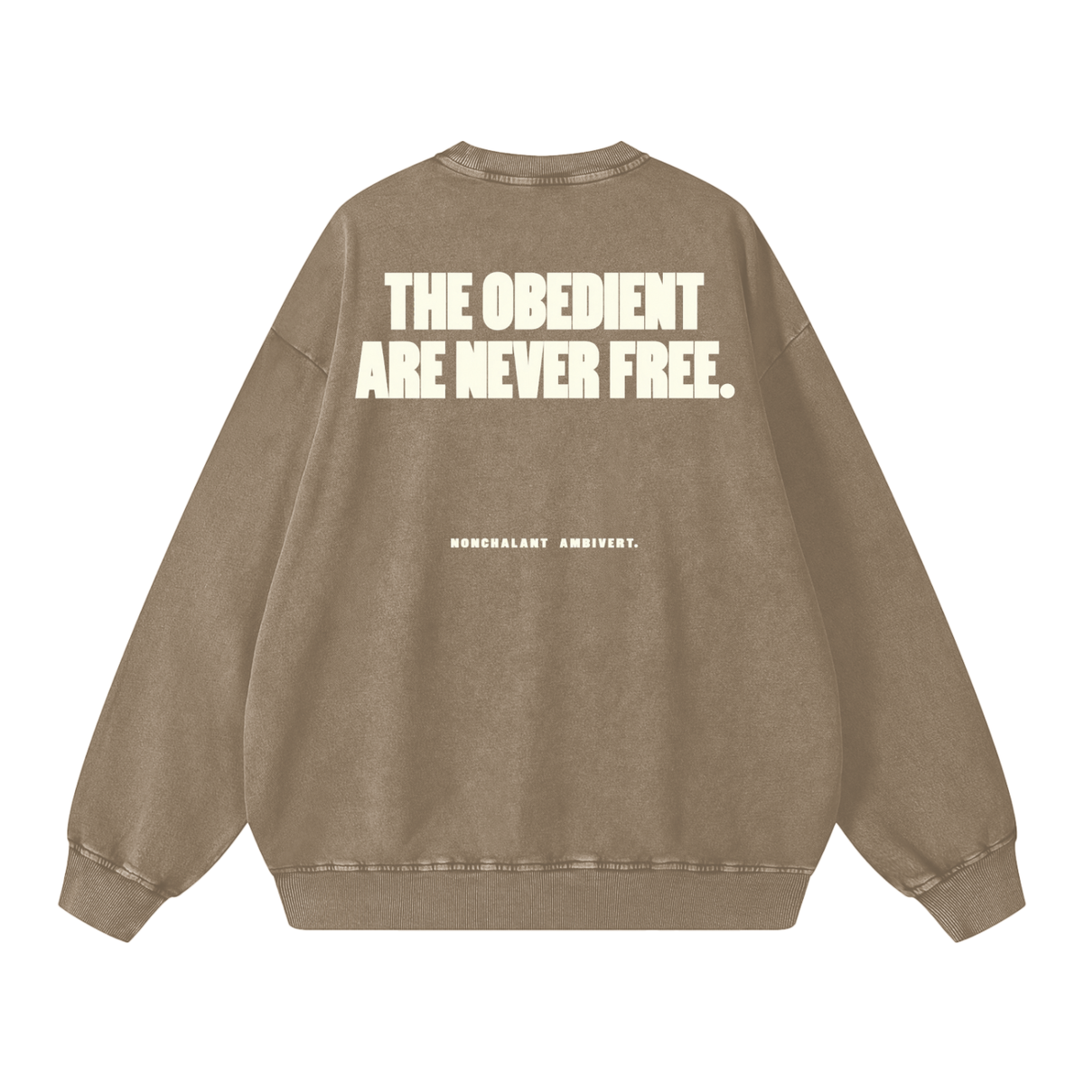 Snow Washed Oversized Sweatshirt