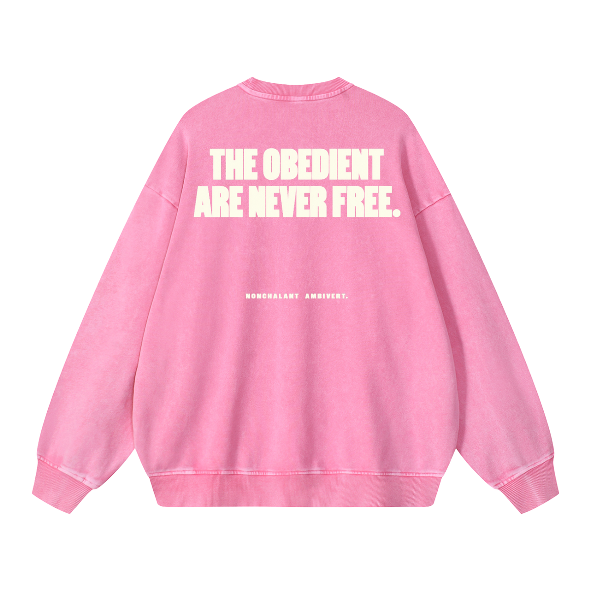 Snow Washed Oversized Sweatshirt