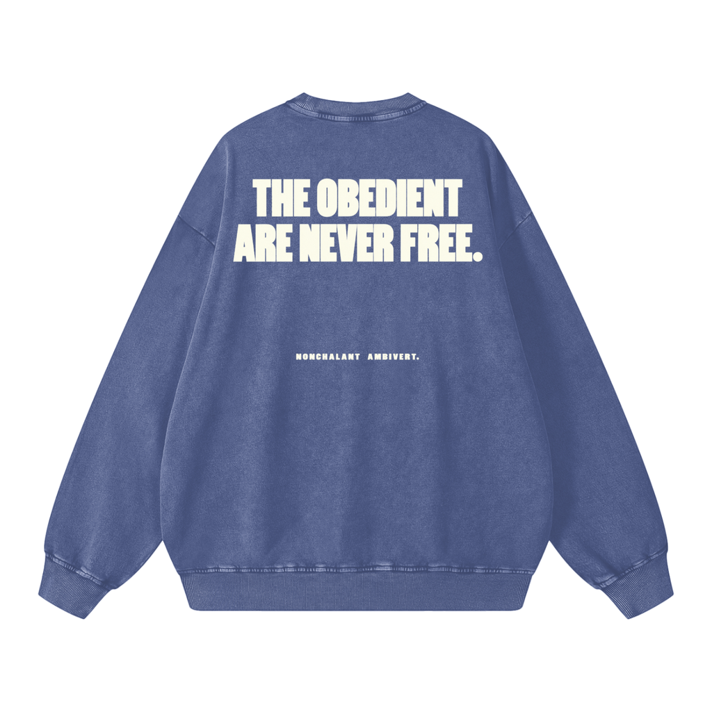 Snow Washed Oversized Sweatshirt