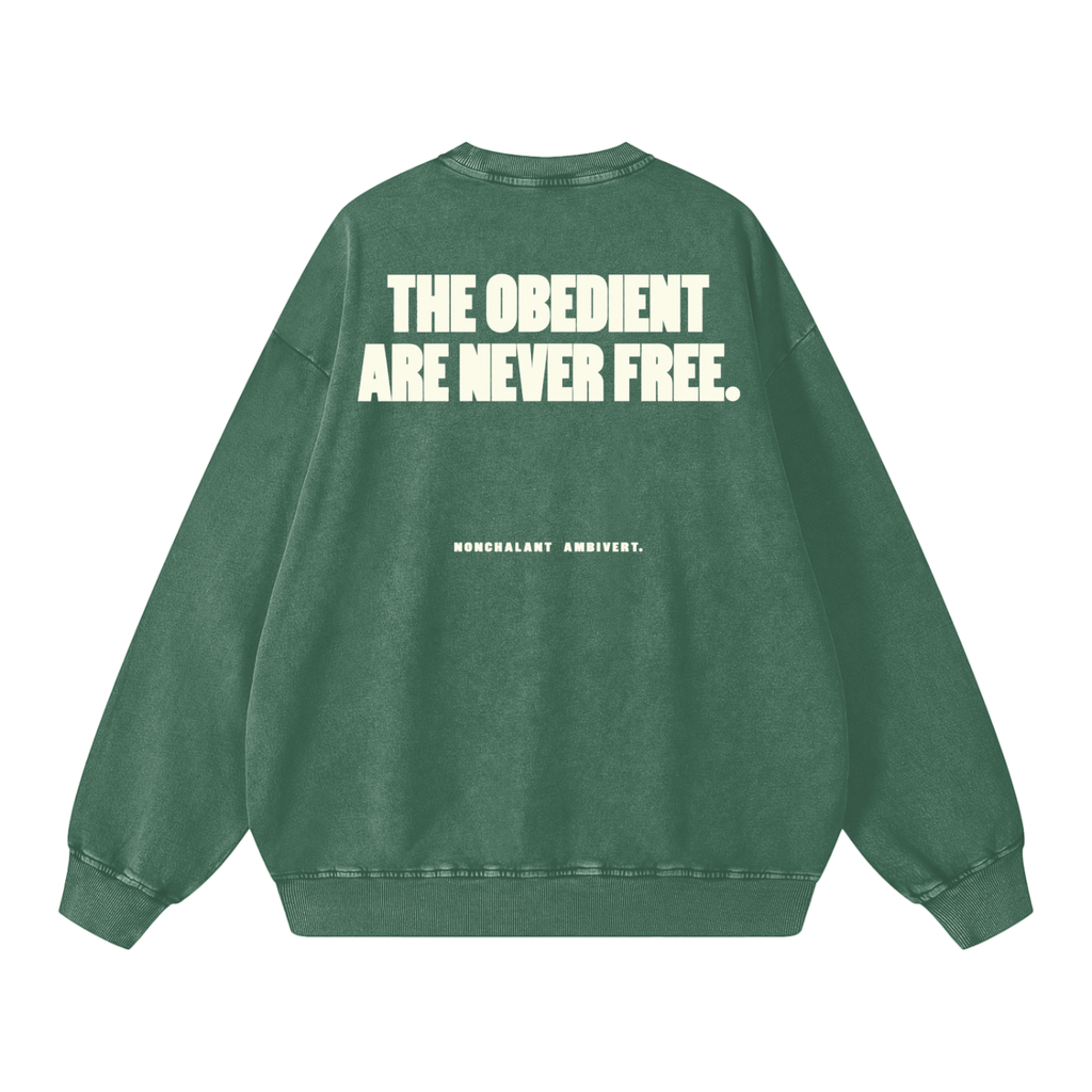 Snow Washed Oversized Sweatshirt