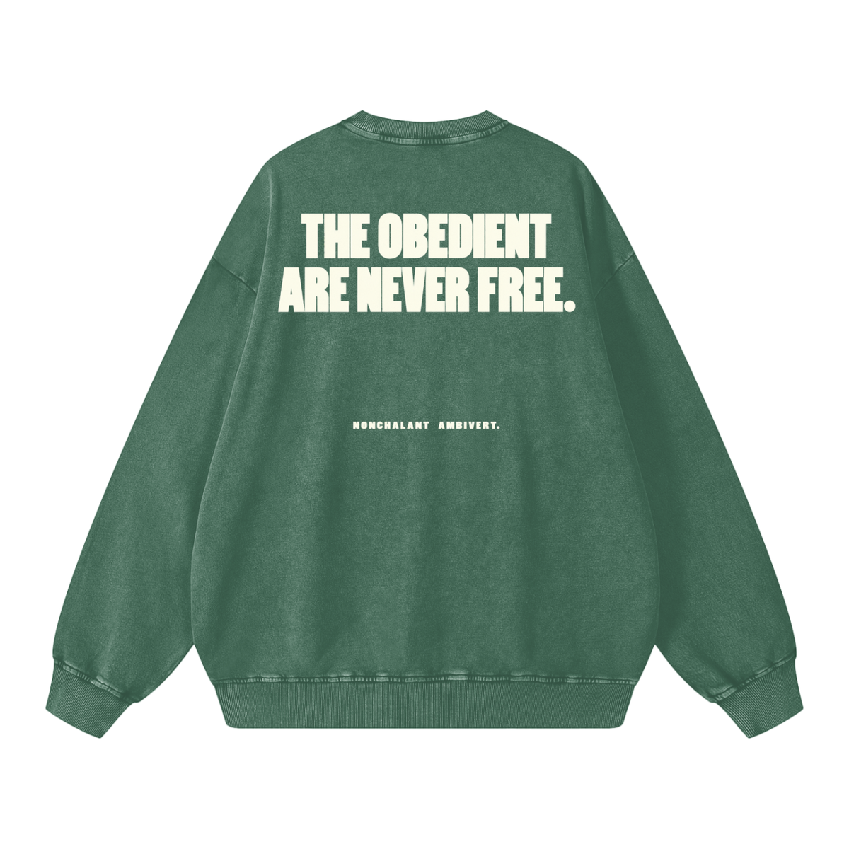 Snow Washed Oversized Sweatshirt
