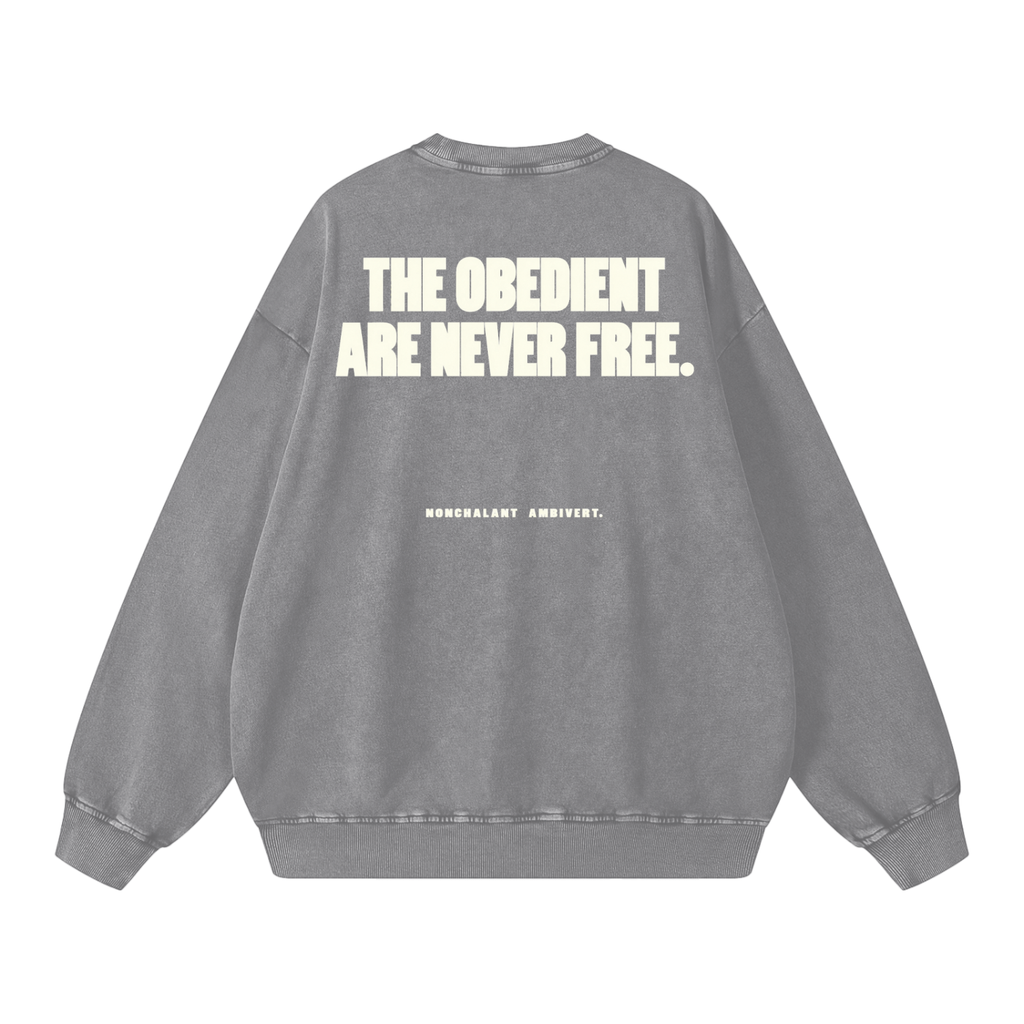 Snow Washed Oversized Sweatshirt