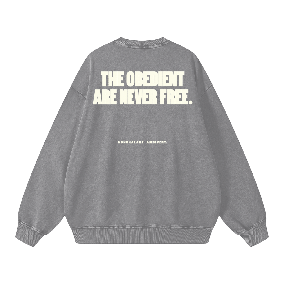 Snow Washed Oversized Sweatshirt
