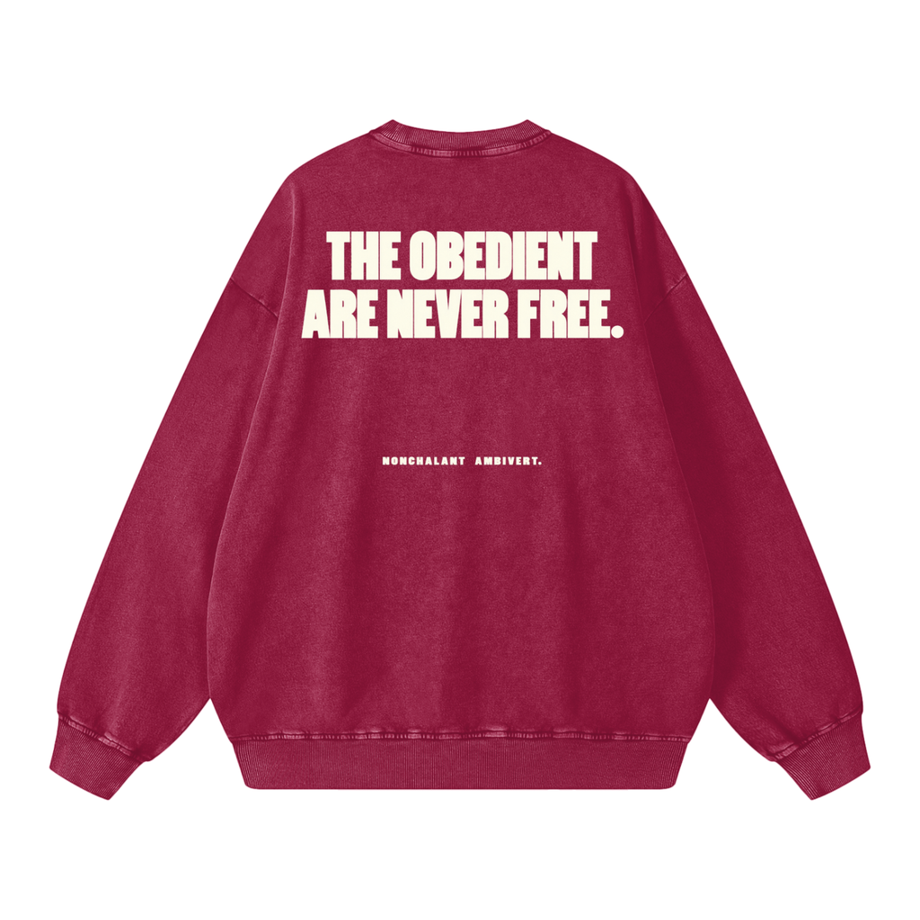 Snow Washed Oversized Sweatshirt