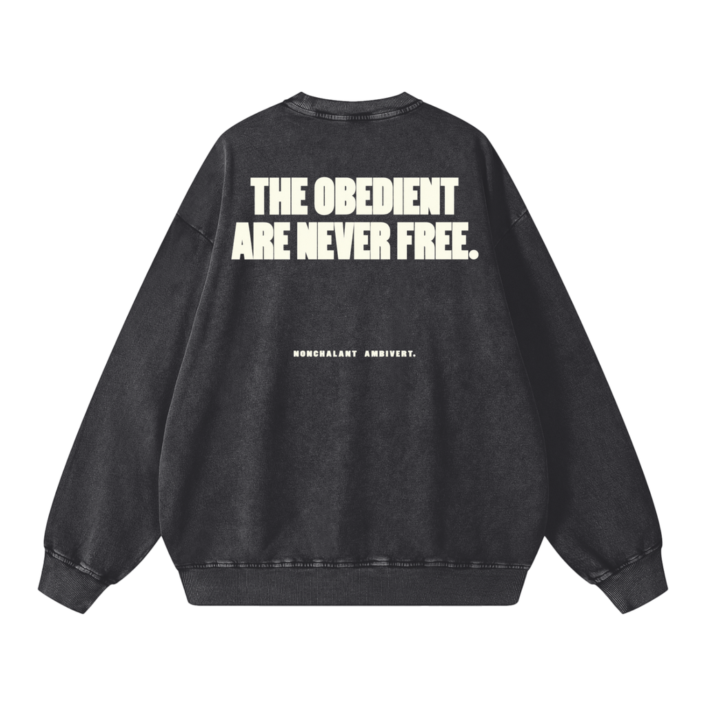 Snow Washed Oversized Sweatshirt